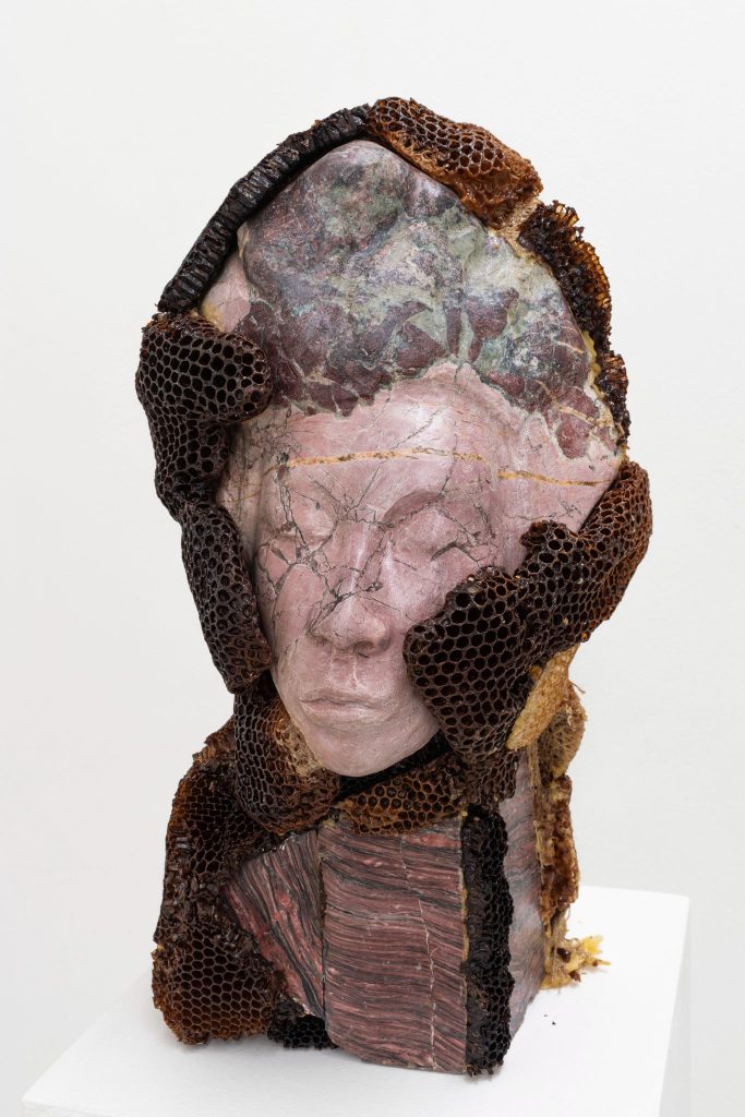 Queen Bee, Ambra Castagnetti, 2026