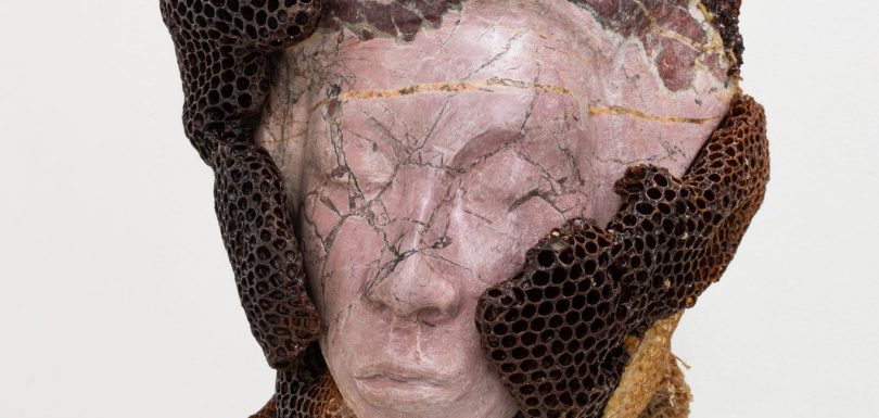 Queen Bee, Ambra Castagnetti, 2026